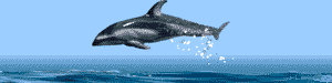 hydrodynamic
