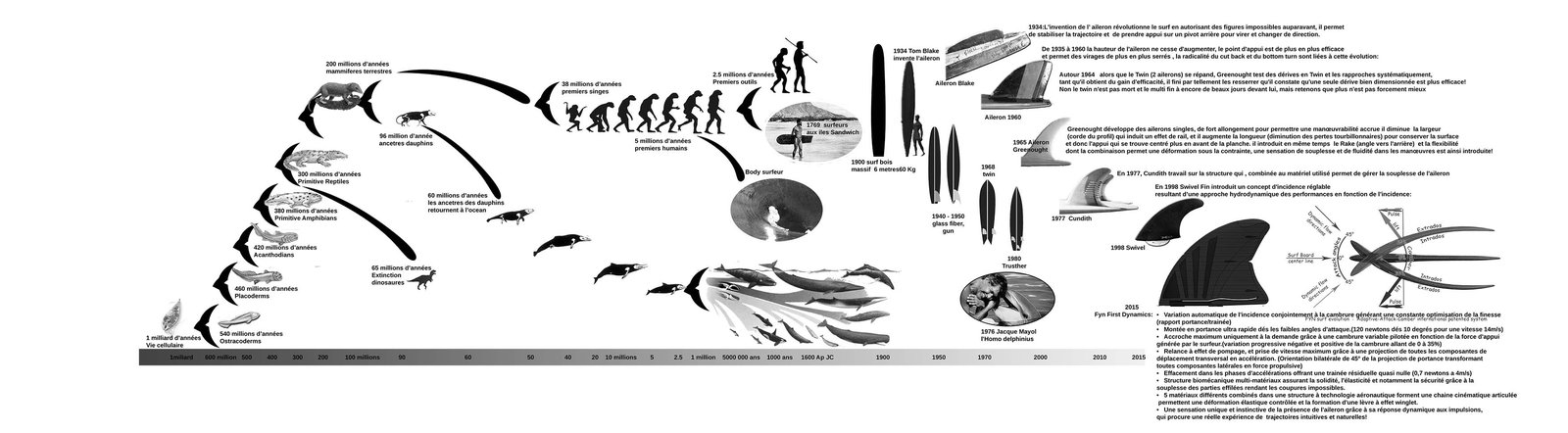 Timeline of the evolution of fins and surf fins, from cellular life to the 2015 dynamic fin