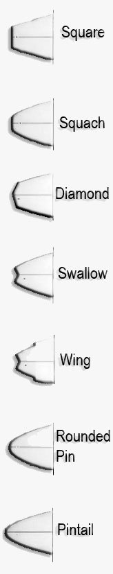 Drawings of tail shapes: square, squash, diamond, swallow, wing, rounded pin, pintail